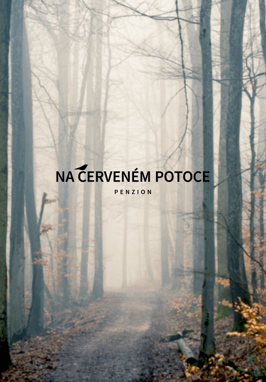 grafický design loga